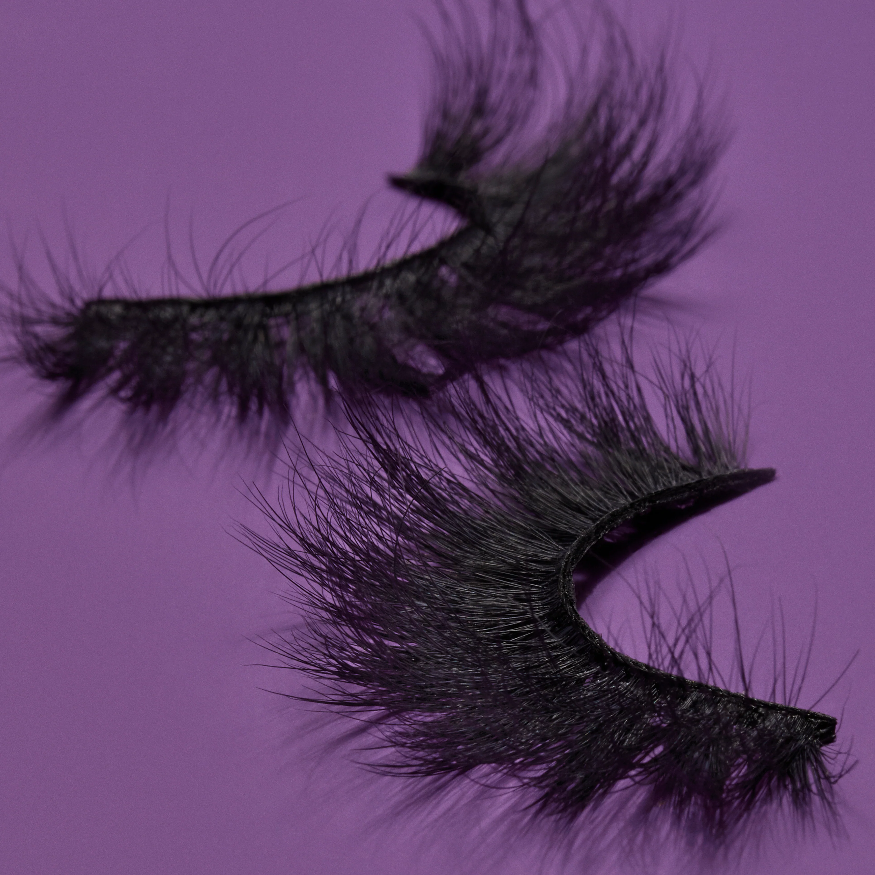 Test collection SALE